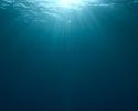 13048_under-the-ocean-sunlight-wallpaper-1280x1024.