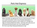 14719_Pets_Hot_Express.
