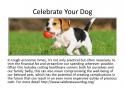 15369_Celebrate_Your_Dog.