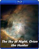 1696sky-at-night-orion.