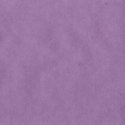 17184_Purple.