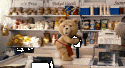 21473_ted2.