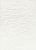 21975_fzm-wrinkled_paper_texture-04.