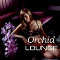 23222_1332754489_orchid_lounge500.