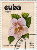 24537_cuba_flower6.