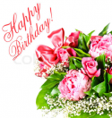 25162_4248566056_2069037_527538_pink_roses_happy_birthday_card_concept_xlarge.