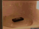 2651cell_phone_in_microwave.