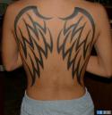 2654angel_wing_tattoos_1.
