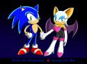 2731Sonic_and_Rouge_perfect_couple_by_Ihtiander.