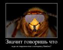 289953197_znachit-govorish-chto_demotivators_ru.