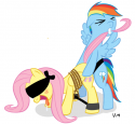 3154778223_-_Friendship_is_magic_My_Little_Pony_Rainbow_Dash_fluttershy.