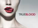 31991_True-Blood.