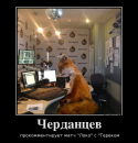 36012_383281_cherdantsev_demotivators_ru.