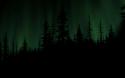 37275_aurora-over-a-dark-forest-234357.