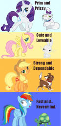 3898my-little-pony-friendship-is-magic-brony-he-needs-to-be-about-faster.