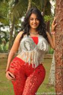 39071_after-actress_anjali_sexy_pictures_in_maharaja_movie_02.