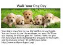 39810_Walk_Your_Dog_Day.