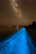 40620_cool-night-photo-beach-bioluminescent.