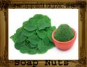 41253_Soap_Nuts.