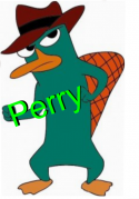 41254_Perry.