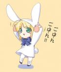 41554_Seiba_Bunny.