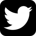 42812_twitter-bird-in-a-rounded-square_318-41054_png.