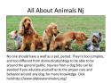 43348_All_About_Animals_Nj.
