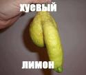 44880_Huevyi_limon.
