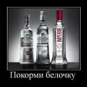 45857_Vodka_pokormi_belochku-a.