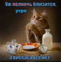 4689_uzh-polnoch-blizitsya-a-viskasa-vsyo-net____1343161122.