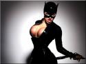 46926_catwoman-is-busty.