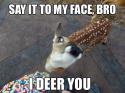 48698_say-it-to-my-face-bro-i-deer-you.