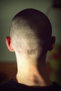 52070_Skinhead_with_code_by_Povso.