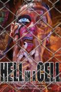 55878_Hell_in_a_cell.