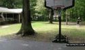5851_8-skateboard-basketball-fail-basketball-fail-gifs.