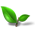 59490_tea-plant-leaf-icon.