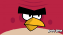 59770_angry_birds_terence_wallpaper_by_tomefc98-d542kzv.