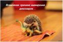 60112_vozmognaya_prichina_vymiraniya_dinozavrov.