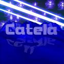 62333_New_Catela_Done_Pro.