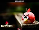 6386red_angry_bird_by_dfordesmond-d4lrtgt.