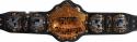 7029_TNA_WORLD_HEAVYWEIGHT_Championship_07.