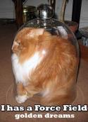 7261cat_forcefield_gd.