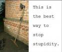 73904_The-best-way-to-stop-stupidity.