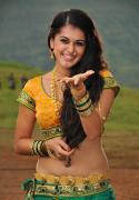 76864_taapsee-pannu-154-h.