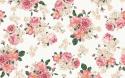 7770background-floral-pattern-rosa-words-Favim_com-133892_large.