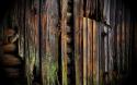 86833_old_wood_background-wide.