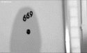 90553_666-black-and-white-devil-door-gif-Favim_com-375393.
