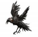 92681_ric3do-raven-small.