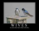 93256_wives.