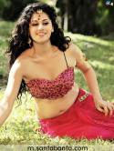 94273_taapsee-pannu-154-h.